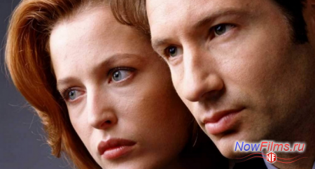 Анонсирован новый сезон «Секретных материалов» Анонсирован новый сезон «Секретных материалов»