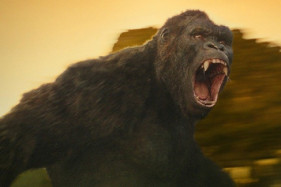 Готовится сериал про Кинг-Конга Готовится сериал про Кинг-Конга