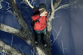 «Нелюбви» Андрея Звягинцева аплодировали в Каннах. Раскрыты сюжетные подробности ленты. «Нелюбви» Андрея Звягинцева аплодировали в Каннах. Раскрыты сюжетные подробности ленты.