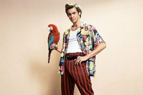 «Эйсе Вентура» получит продолжение, но с новым главным героем «Эйсе Вентура» получит продолжение, но с новым главным героем