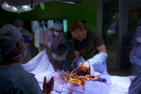 Анализ культового сериала: Как Шерлок Холмс стал «Доктором Хаусом» Анализ культового сериала: Как Шерлок Холмс стал «Доктором Хаусом»