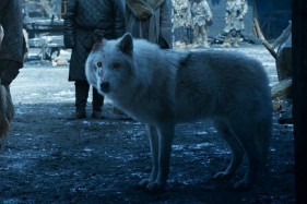 Джордж Р. Р. Мартин рассказал о приквеле «Игры престолов» Джордж Р. Р. Мартин рассказал о приквеле «Игры престолов»