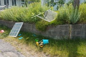 Начались съёмки «Тихого места 2» Начались съёмки «Тихого места 2»