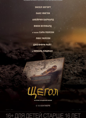 Щегол (2019)