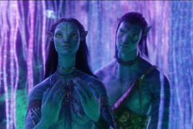 Джеймс Кэмерон прокомментировал создание новых «Аватаров» Джеймс Кэмерон прокомментировал создание новых «Аватаров»