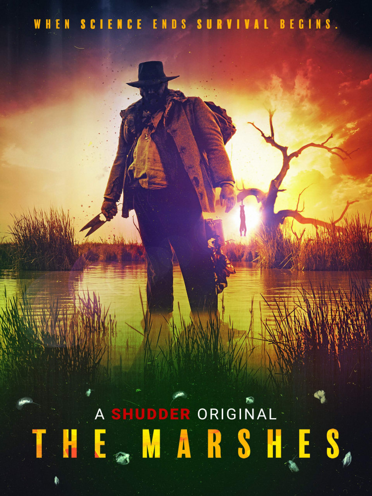  (2018)