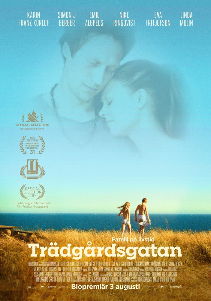   (2017)