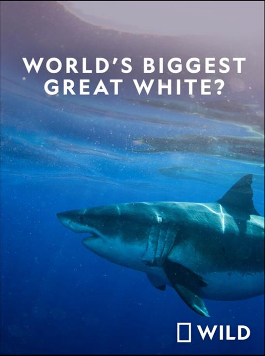 National Geographic.      ? (2019)