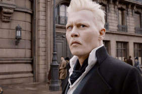 Warner Bros. лишила Джонии Деппа роли в "Фантастических тварях 3" Warner Bros. лишила Джонии Деппа роли в "Фантастических тварях 3"