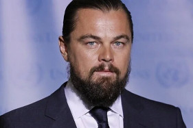 Объявлена дата релиза комедии с Леонардо Ди Каприо Объявлена дата релиза комедии с Леонардо Ди Каприо