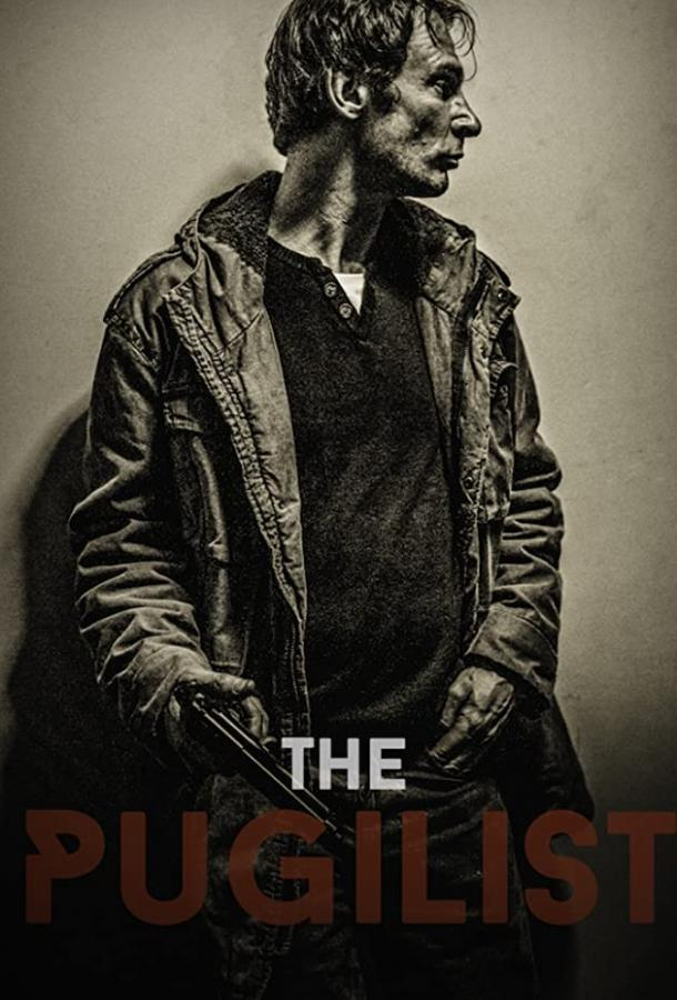    (2017)