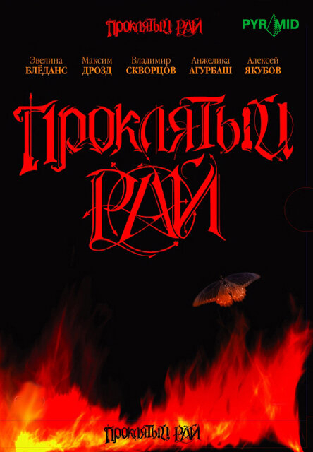   (2006)