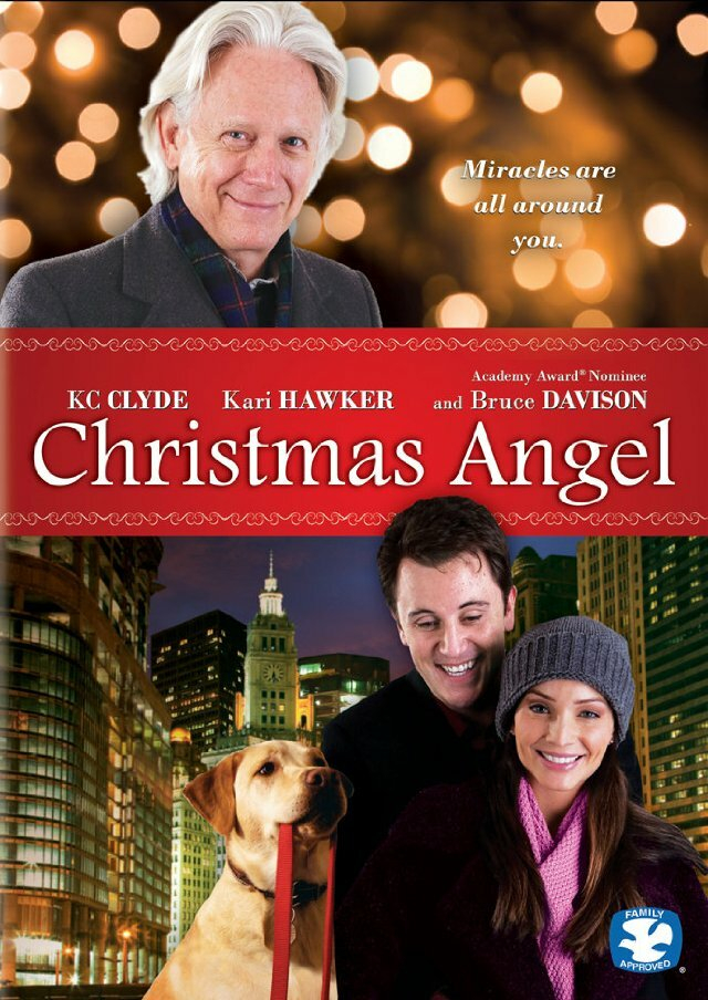   (2009)