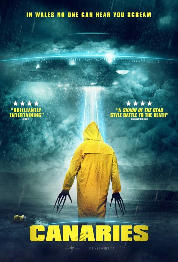  (2017)
