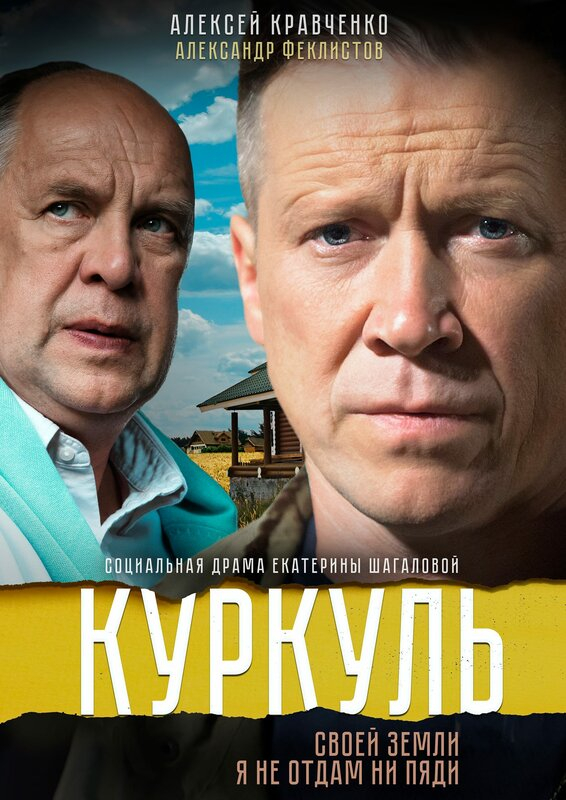  (2016)