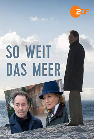   (2019)