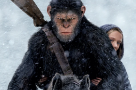 Следующая часть серии «Планета обезьян» нашла нового лидера приматов Следующая часть серии «Планета обезьян» нашла нового лидера приматов