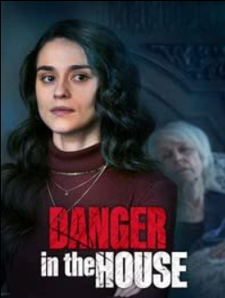 Опасность в доме (2022)