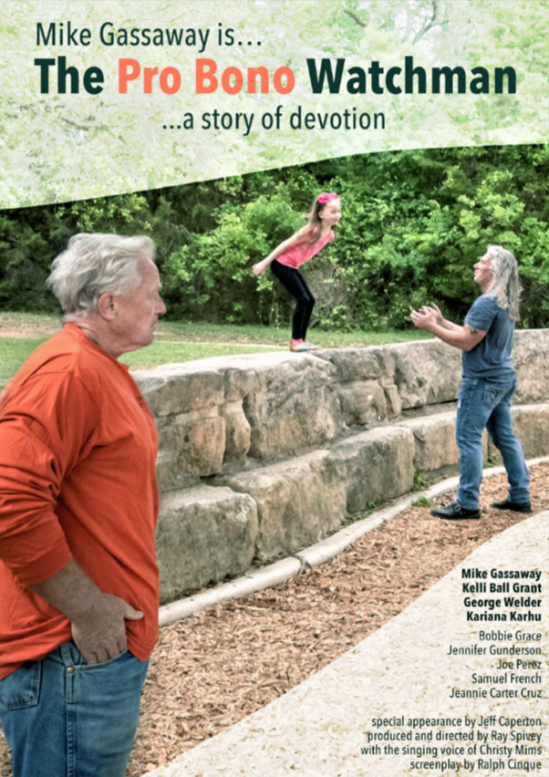 Добровольный наблюдатель (2022)