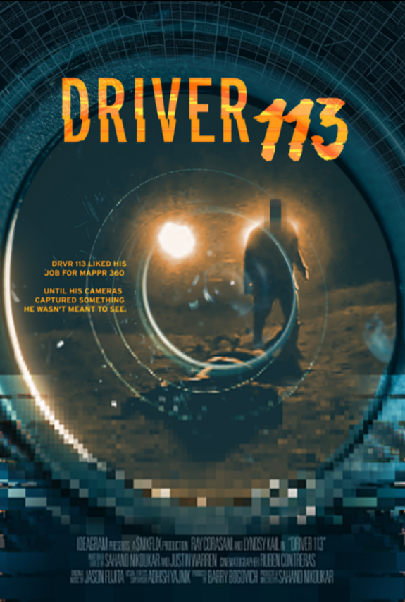  113 (2021)