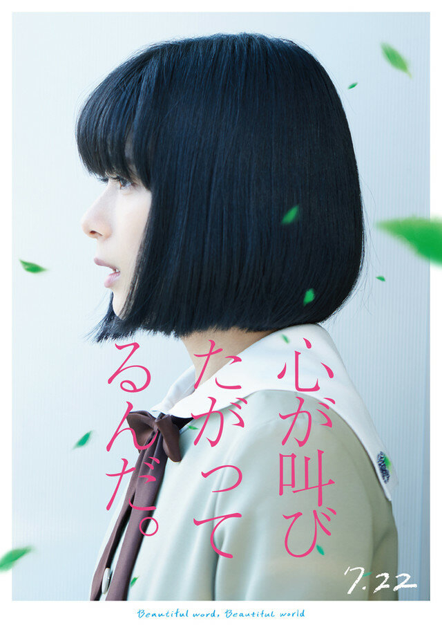    (2017)