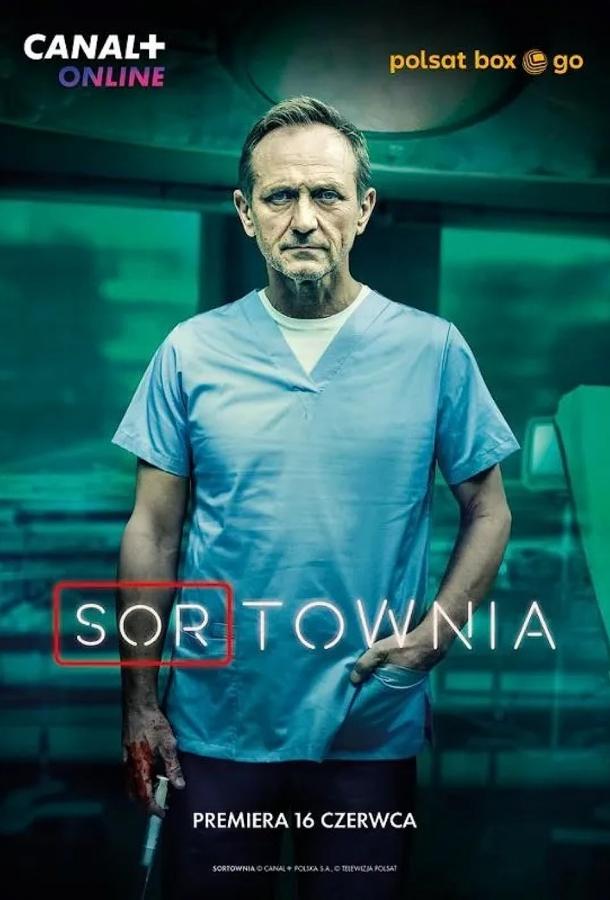   (2023)