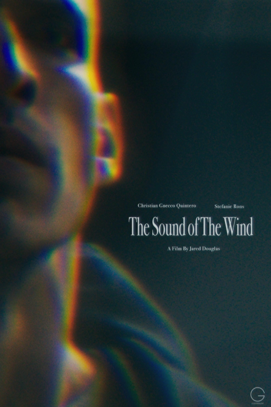 Звук ветра (2020)