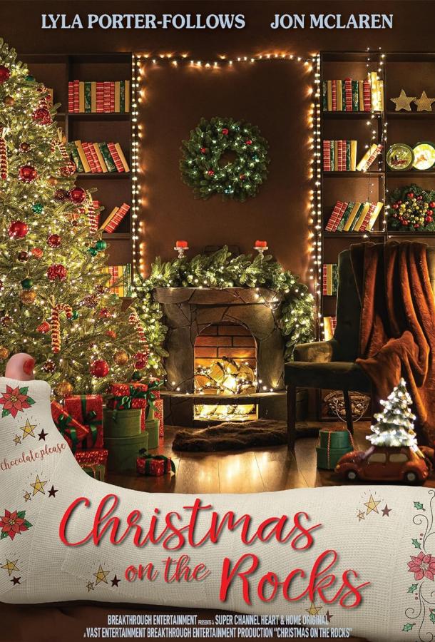 Рождество под знаком близнецов (2023)