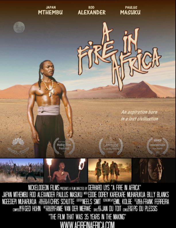 Пожар в Африке (2022)