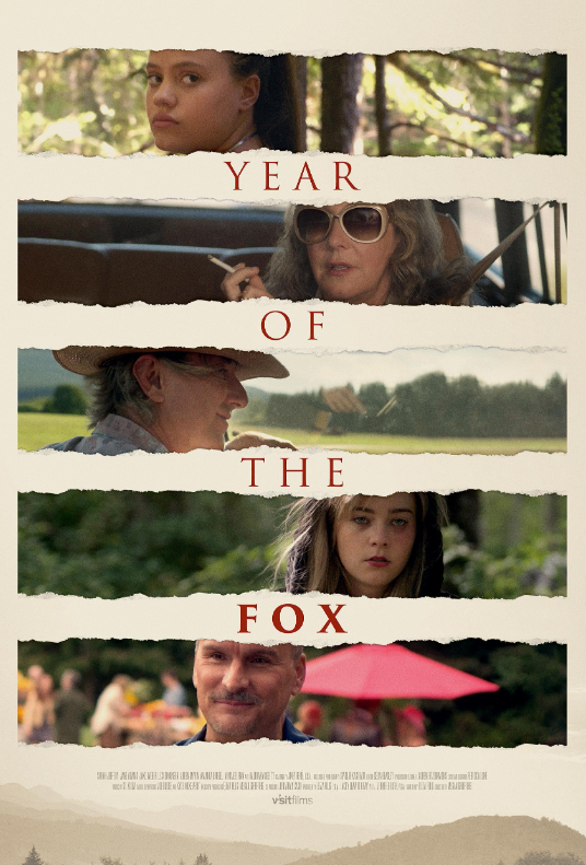 Год лисы (2023)