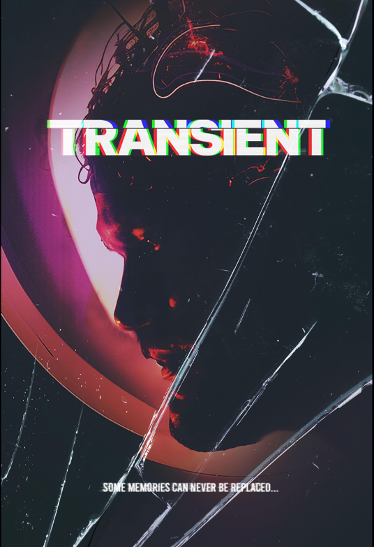 Переходный процесс (2024)