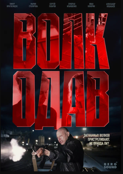  (2025)