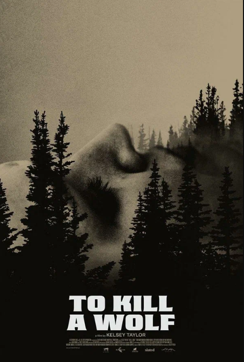   (2024)