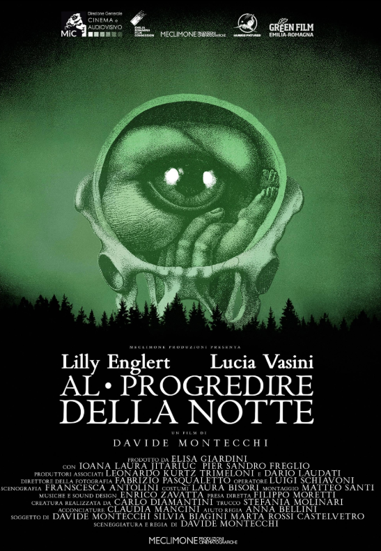 С наступлением ночи (2025)