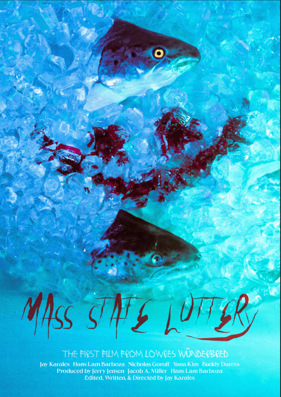 Лотерея штата Массачусетс (2025)